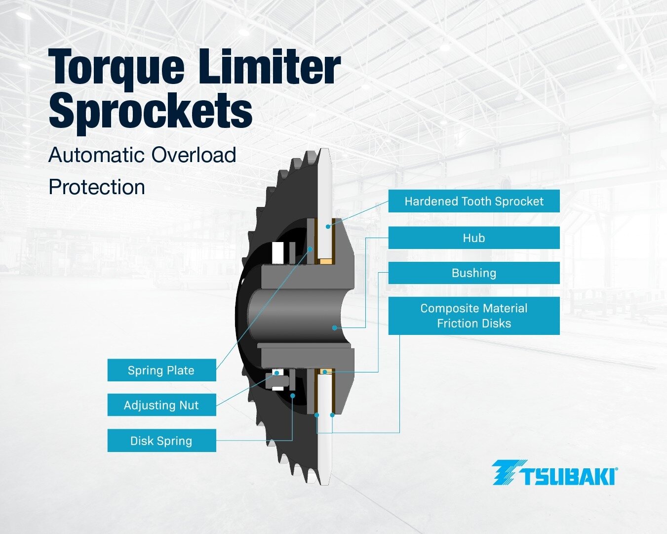 WhatsApp Image 2026-03-02 at 12.37.00 PM.jpeg